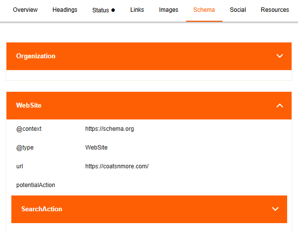 Example of Website Schema